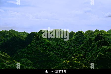 Cat Ba Nationalpark Wanderung Stockfoto