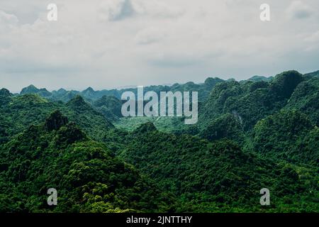 Cat Ba Nationalpark Wanderung Stockfoto