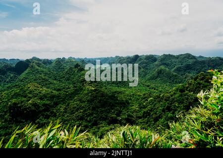 Cat Ba Nationalpark Wanderung Stockfoto