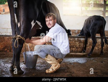 Ich bin fast fertig, diese Kuh zu melken. Ganzkörperportrait eines jungen Mannes, der eine Kuh im Stall melkt. Stockfoto