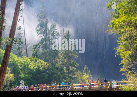 Kalifornien, USA - 2. Juli 2017.Touristen auf dem Trail mit dem Tall Forest of Sequoias, Yosemite National Park, Kalifornien. Yosemite Valley, Stockfoto