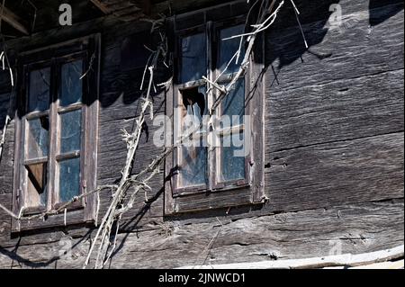 Zwei Fenster mit kaputten Fenstern an einem alten unbewohnten Holzhaus. Stockfoto