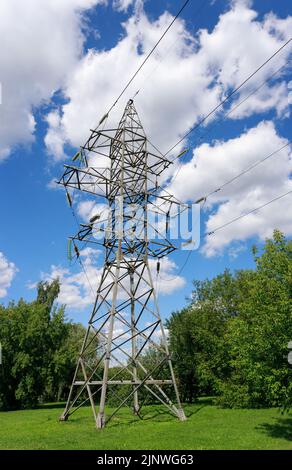 Elektrisches Netz von Polen am blauen Himmel und umgeben von grünen Büschen und Bäumen Stockfoto