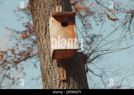 Handgefertigte Vogelhäuser. Holzvögel nisten auf einem Baum Stockfoto