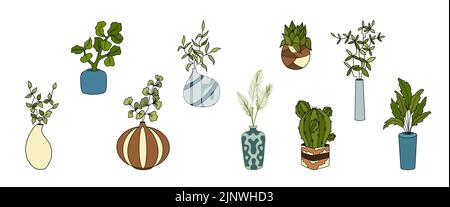 Zimmerpflanzen, Inneneinrichtung, Set mit Vektor-Illustrationen von Blumen. Clipkunst von Vasen mit Blumen. Ein Topf mit Hausblumen, Sukkulenten, Fialen Stock Vektor