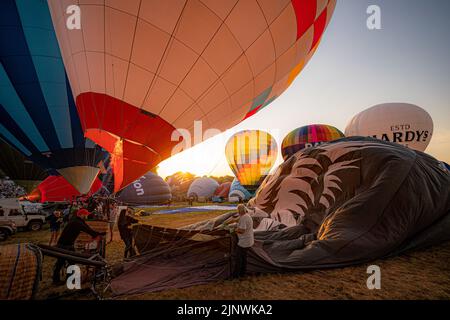 Heißluftballons blasen sich während der Bristol International Balloon Fiesta 2022 auf. Bilddatum: Sonntag, 14. August 2022. Stockfoto