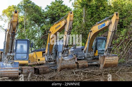 Central Kalamantan, Indonesien, 20. Mai 2022 - am Flussufer befindet sich eine schwere Waldlichtung, die sich darauf vorbereitet, Land für neue Palmölbäume zu räumen. Stockfoto