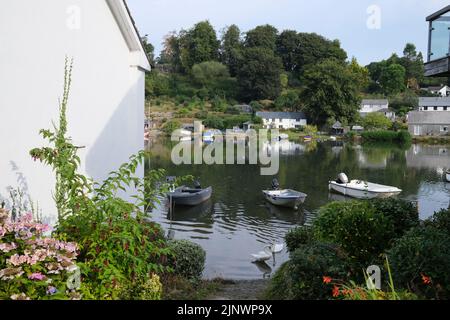 Segelboote auf dem Fluss lerryn, cornwall, großbritannien august 2022 Stockfoto