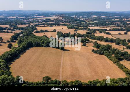 Sussex, Großbritannien. 13. August 2022. Die Bäume bleiben im Allgemeinen grün, aber die Felder sind in East Sussex versengt gelb. Der Beginn der zweiten kurzen Hitzewelle und die Ankündigung der Dürrebedingungen in einem Großteil des Vereinigten Königreichs. Kredit: Guy Bell/Alamy Live Nachrichten Stockfoto