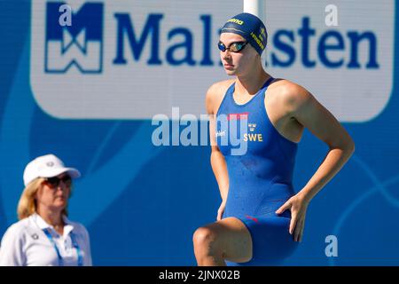 Rom, Italien. 14. August 2022. ROM, ITALIEN - 14. AUGUST: Sophie Hansson aus Schweden während des Brustrotes der Frauen 200m beim European Aquatics Roma 2022 im Stadio del Nuoto am 14. August 2022 in Rom, Italien (Foto von Nikola Krstic/Orange Picics) Credit: Orange Pics BV/Alamy Live News Stockfoto