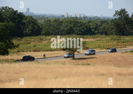 Der Richmond Park im Südwesten Londons backt in der sommerlichen Hitzewelle vom 2022. August Stockfoto