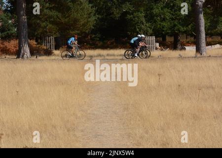 Radsportler, die nicht von der Hitzefahrt durch den Richmond Park im Südwesten Londons abgeschreckt wurden - August 2022 Stockfoto