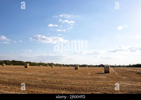 Heuballen auf dem Feld nach der Ernte. Goldene Stunde auf dem Land. Bäume und ein klarer Himmel mit nur wenigen Wolken im Hintergrund. Stockfoto