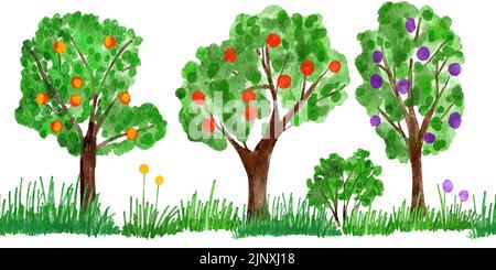 Aquarell von Hand gezeichnet nahtlose Grenze Illustration von Obstbäumen, Bauernhof Ernte. Grüne Blätter Blatt Laub Bio-Nahrung mit Gras Sträucher Äste. Gelb rote Äpfel, Pflaumen, hört. Natur natürliche Wald Holz Bild Clipart Stockfoto