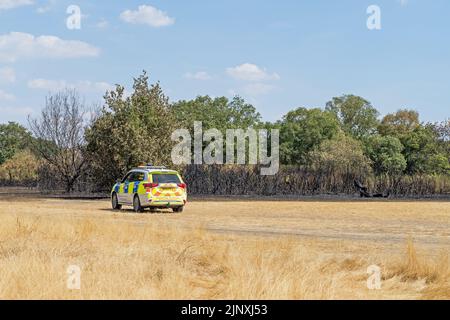 Polizei und rat von Epping Forest befassen sich nach wochenlanger Dürre und Hitzewelle mit einem großen Waldbrand in Hollow Ponds. London - 14.. August 2022 Stockfoto