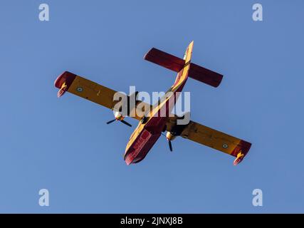 Canadair Feuerwehrflugzeug, Scooper fliegt auf blauem Himmel Hintergrund, unter Sicht. Gelbrote Farbe Wasserflugzeug Flug für Rettung und Transport. Stockfoto