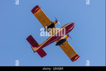 Canadair-Flug, Amphibienfahrzeug zur Brandbekämpfung, Scooper auf klarem blauen Himmel Hintergrund. Gelb-rote Farbe zeitgenössischen Wasserflugzeug für Feuergefecht, Suche, Stockfoto