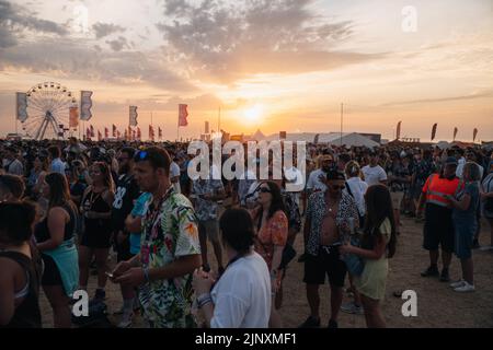 Newquay, Cornwall, Großbritannien. 13.. August 2022. Allgemeine Atmosphäre beim Boardmasters Festival 2022. Quelle: Sam Hardwick/Alamy. Stockfoto