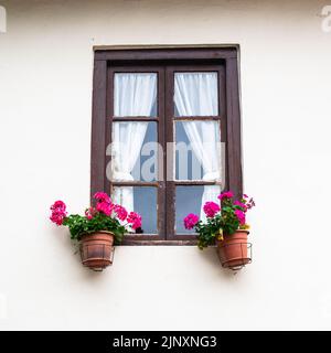 Fensterrahmen mit bunten Blumen. Rustikale Häuser auf dem Hintergrund der Picos de Europa Berge Stockfoto