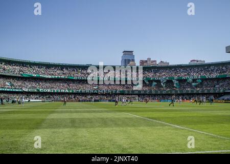 Curitiba, Brasilien. 14. August 2022. PR - Curitiba - 08/14/2022 - BRASILIANISCHER A 2022, CORITIBA X ATLETICO MG - Gesamtansicht des Stadions Couto Pereira für das Spiel zwischen Coritiba und Atletico-MG für die brasilianische Meisterschaft A 2022. Foto: Robson Mafra/AGIF/Sipa USA Quelle: SIPA USA/Alamy Live News Stockfoto