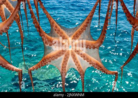 Tintenfisch/Tintenfisch, der vor einem Restaurant in Ammoudi Bay, Oia, Santorini, griechische Inseln, Griechenland zum Trocknen aufgehängt wird. Stockfoto