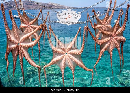 Tintenfisch/Tintenfisch, der vor einem Restaurant in Ammoudi Bay, Oia, Santorini, griechische Inseln, Griechenland zum Trocknen aufgehängt wird. Stockfoto