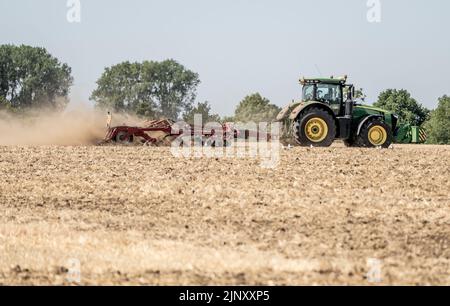 Ein Traktor pflügt während einer Dürre in Norfolk ein Feld, während die Pflanzen austrocknen und Schlauchleitungen und Bewässerungsverbote durchgesetzt werden, Norfolk, Großbritannien. Stockfoto