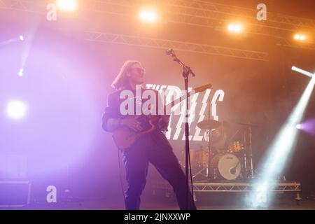 Newquay, Cornwall, Großbritannien. 14.. August 2022. Die Rills beim Boardmasters Festival 2022. Quelle: Sam Hardwick/Alamy. Stockfoto