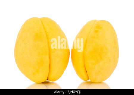 Zwei leuchtend gelbe saftige Ananas-Aprikosen, Makro, isoliert auf weißem Hintergrund. Stockfoto