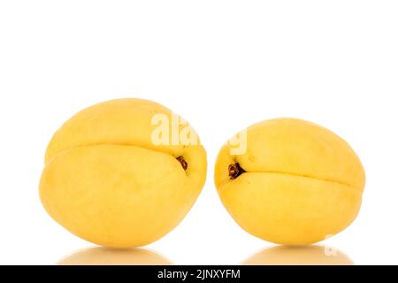 Zwei leuchtend gelbe saftige Ananas-Aprikosen, Makro, isoliert auf weißem Hintergrund. Stockfoto