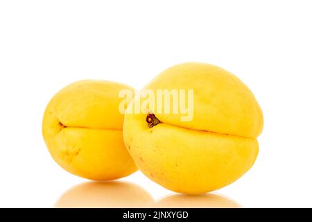 Zwei leuchtend gelbe saftige Ananas-Aprikosen, Makro, isoliert auf weißem Hintergrund. Stockfoto