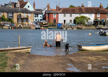 WIVENHOE IN ESSEX, VOM GEGENÜBERLIEGENDEN UFER (ROWHEDGE) AUS FOTOGRAFIERT. HUNDE UND MENSCHEN HABEN SPASS BEIM SCHWIMMEN IN DER HITZEWELLE VON 2022. Stockfoto