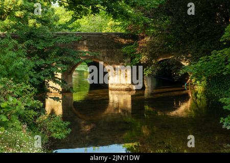 Crane Bridge über den Fluss Avon in Salisbury, Wiltshire, England. Stockfoto