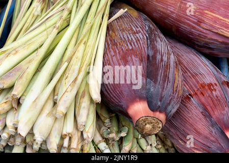 Bananenblüten oder Bananenblüten und Zitronengras Stockfoto