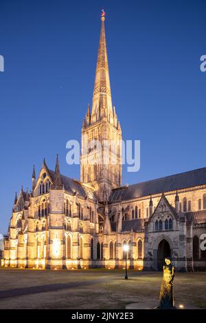 Sommerabend in der Salisbury Cathedra, Wiltshire, England. Stockfoto