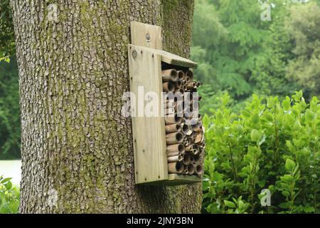 Ein Insektenhotel aus altem Holz und gehäftem Bambus, der an einem Baum im Wald hängt. Viele Arten von Insekten werden von ihm angezogen. Stockfoto