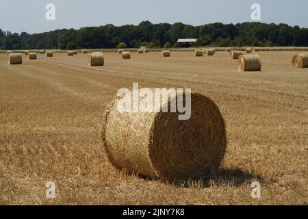 Kirche Fenton Dorf, Blick in der Nähe von Common Lane Stockfoto