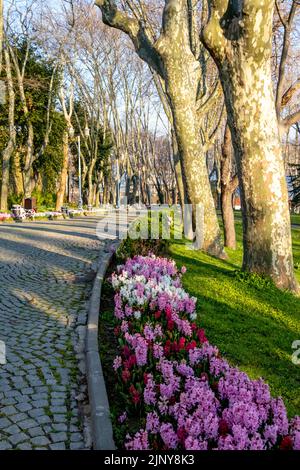 Blick auf den historischen Stadtpark Gulhane im Stadtteil Eminonu von Istanbul. Topkapi-Palast.Türkei. Stockfoto
