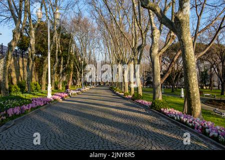 Blick auf den historischen Stadtpark Gulhane im Stadtteil Eminonu von Istanbul. Topkapi-Palast.Türkei. Stockfoto