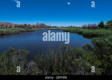 Umatilla National Wildlife Refuge im Bundesstaat Washington Stockfoto