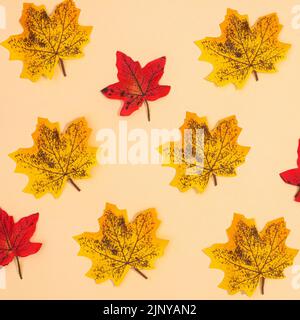 Herbstmuster aus gelben und roten Ahornblättern auf beigem Hintergrund. Herbstkonzept Stockfoto