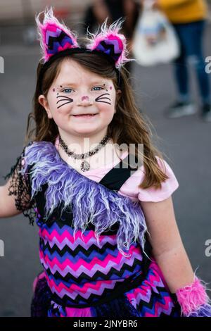 American Girl trägt ein Kitty Kostüm auf einer Halloween Party in Fountain Hills, Arizona. Stockfoto