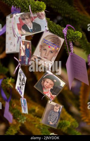 Priory Park, Southend on Sea, Essex, Großbritannien. 14. August 2022. Im Priory Park in der Heimatstadt von Archie Battersbee haben sich Menschen versammelt, um dem 12-jährigen Jungen zu Tribut zu zollen, der diese Woche verstorben ist, nachdem seine Lebenshilfe nach monatelangen Rechtskämpfen der Familie abgestellt wurde, um die Behandlung fortzusetzen. Familie, Freunde und Mitglieder der Öffentlichkeit wurden eingeladen, an Gebet und Gesang teilzunehmen, wobei Botschaften zur Unterstützung gelegt wurden. Lila Bänder und Karten wurden an Bäumen befestigt Stockfoto