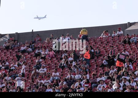 Sao Paulo, Brasilien. 14. August 2022. SP - Sao Paulo - 08/14/2022 - BRASILIANISCHER A 2022, SAO PAULO X BRAGANTINO - Sao Paulo Fans während eines Spiels gegen Bragantino im Morumbi Stadion für die brasilianische Meisterschaft A 2022. Foto: Ettore Chiereguini/AGIF/Sipa USA Quelle: SIPA USA/Alamy Live News Stockfoto