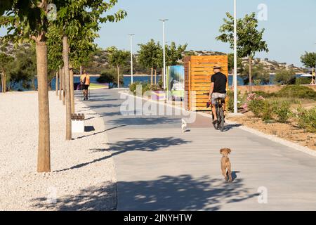 13. Juli 2022: Person, die Fahrrad fährt, während sie mit einem Hund auf einem Strandweg läuft Stockfoto