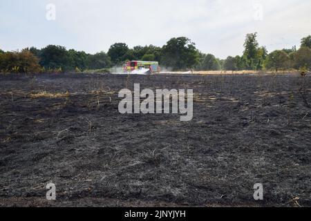 London, Großbritannien. 14.. August 2022. London Fire Brigade am Schauplatz eines Grasfeuers in Enfield. Mehrere Brände brachen auf einem Feld in Enfield aus, da eine schwere Dürre Teile Englands betrifft. Kredit: Vuk Valcic/Alamy Live Nachrichten Stockfoto