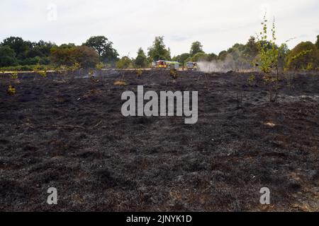 London, Großbritannien. 14.. August 2022. London Fire Brigade am Schauplatz eines Grasfeuers in Enfield. Mehrere Brände brachen auf einem Feld in Enfield aus, da eine schwere Dürre Teile Englands betrifft. Kredit: Vuk Valcic/Alamy Live Nachrichten Stockfoto