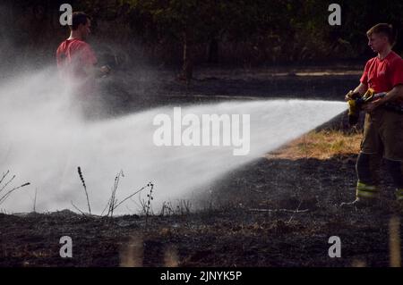 London, England, Großbritannien. 14. August 2022. London Fire Brigade am Schauplatz eines Grasfeuers in Enfield. Mehrere Brände brachen auf einem Feld in Enfield aus, da eine schwere Dürre Teile Englands betrifft. (Bild: © Vuk Valcic/ZUMA Press Wire) Bild: ZUMA Press, Inc./Alamy Live News Stockfoto