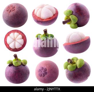 Isolierte Mangostan-Sammlung. Satz von ganzen und schneiden Mangostan Frucht isoliert auf weißem Hintergrund Stockfoto