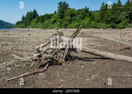 Nach einem langen, heißen Sommer 2022 beginnen nun die zurückgehenden Gewässer am Lake Vyrnwy-Staudamm alte Straßen und Gebäude im versunkenen Dorf zu enthüllen. Stockfoto